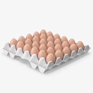 Egg Holder With Eggs 3D model