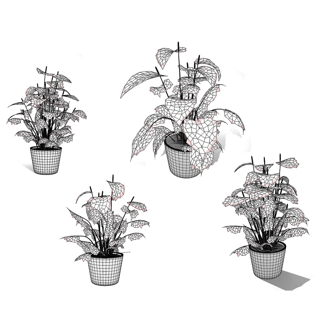 3D Anthurium plants collection https://p.turbosquid.com/ts-thumb/B6/oecPEV/EJ/wire/jpg/1718708066/1920x1080/fit_q87/450085f262fe48f10c37ad15bd38140099ecec39/wire.jpg