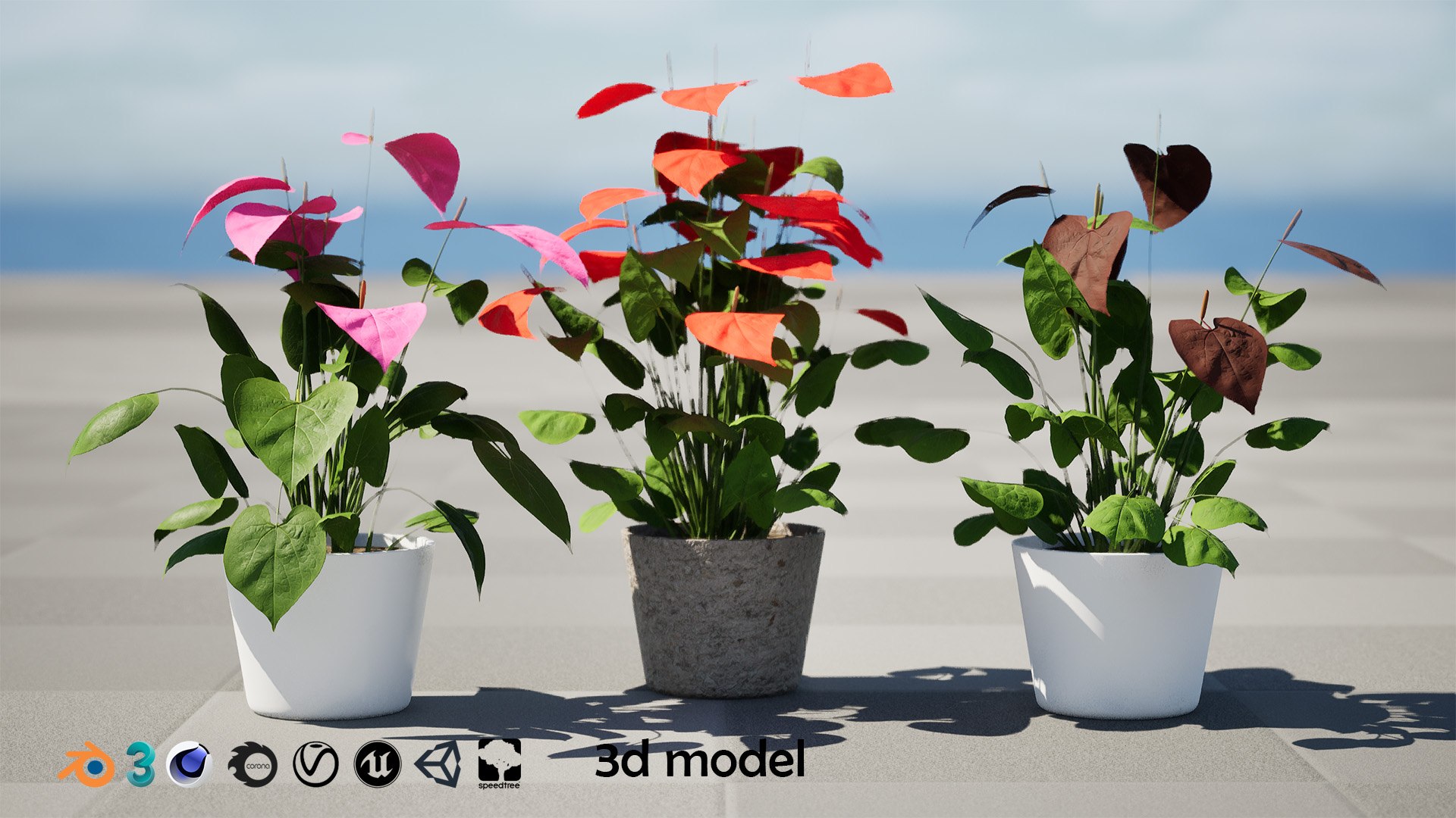 3D Anthurium plants collection https://p.turbosquid.com/ts-thumb/B6/oecPEV/ns/artcover2/jpg/1718707857/1920x1080/fit_q87/7ea6e946980a4d19ee6e7e24754088cf5d80f60b/artcover2.jpg
