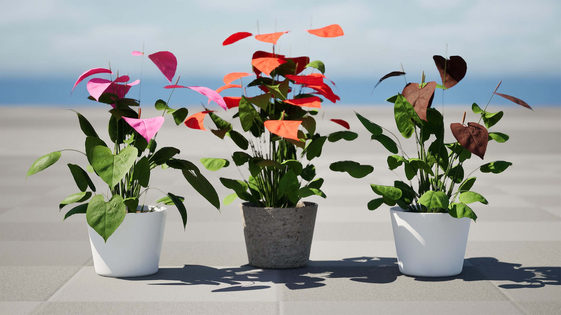 3D Anthurium plants collection https://p.turbosquid.com/ts-thumb/B6/oecPEV/xQ/highresscreenshot00005/jpg/1718707994/1920x1080/fit_q87/cf7f6d17a73f1abecf19db99d129864dad197cda/highresscreenshot00005.jpg