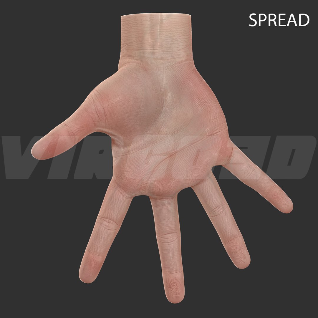 basic hand rigged 3d max https://p.turbosquid.com/ts-thumb/B6/qLygc7/FDqExjSh/spread_002/jpg/1411487417/1920x1080/fit_q87/e47455608a25fe41753f95b888fbd4a82e363848/spread_002.jpg