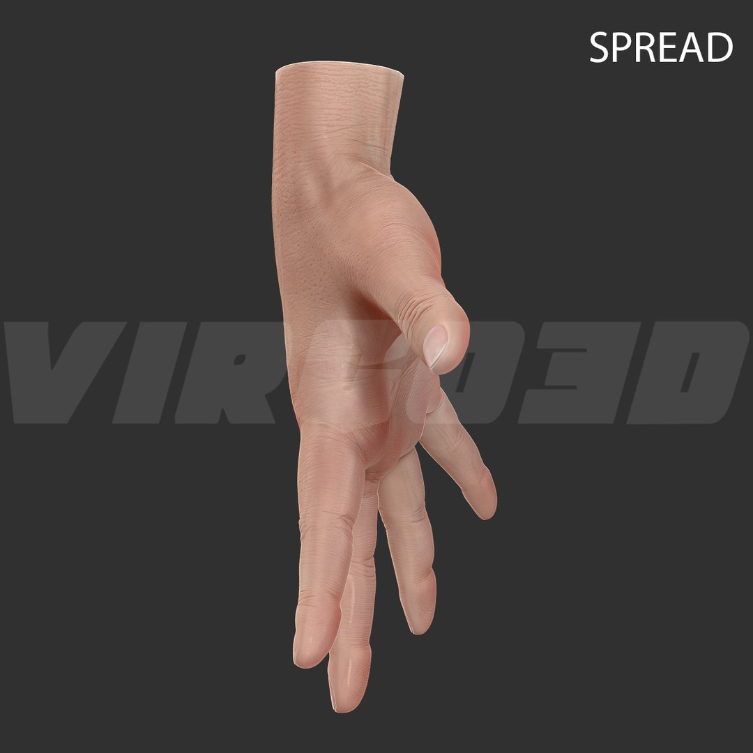 basic hand rigged 3d max https://p.turbosquid.com/ts-thumb/B6/qLygc7/R47Jxtnu/spread_003/jpg/1411487417/1920x1080/fit_q87/72cbd165f9f1453945efe56b76fd277bdd197f08/spread_003.jpg
