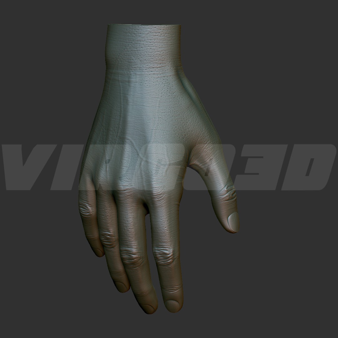 basic hand rigged 3d max https://p.turbosquid.com/ts-thumb/B6/qLygc7/cGzqsEoO/metaldust0000.jpgea795a8dc55b48f5bfd9da84347b4d28zoom/jpg/1411487334/1920x1080/turn_fit_q99/3021d5211c5006c2fd29cf606fe7a6d216ecf9b6/metaldust0000.jpgea795a8dc55b48f5bfd9da84347b4d28zoom-1.jpg
