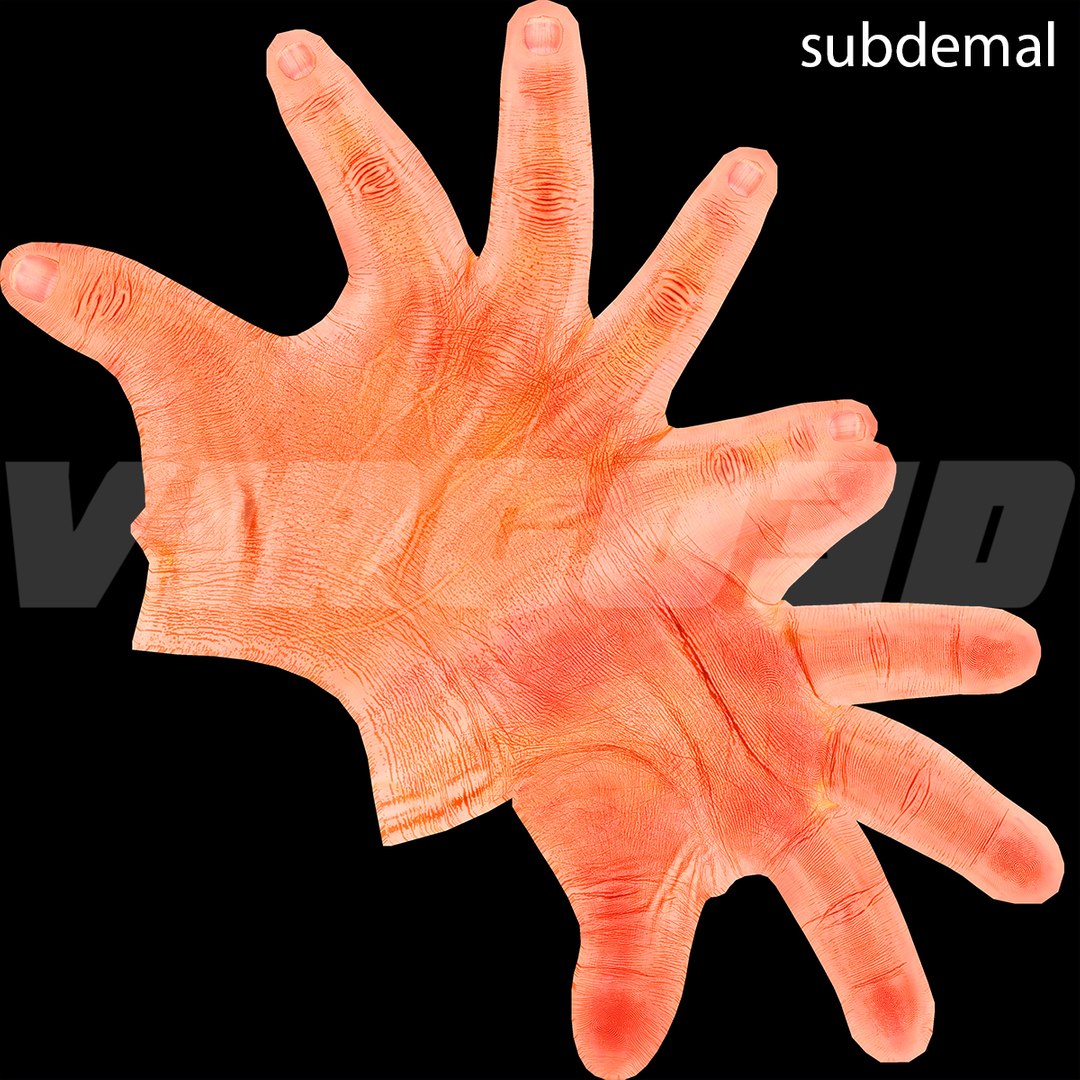 basic hand rigged 3d max https://p.turbosquid.com/ts-thumb/B6/qLygc7/ePkUcyLx/subdermal_thumb/jpg/1411487538/1920x1080/fit_q87/30cf71b736bba4323627470adb3d838b3be51868/subdermal_thumb.jpg
