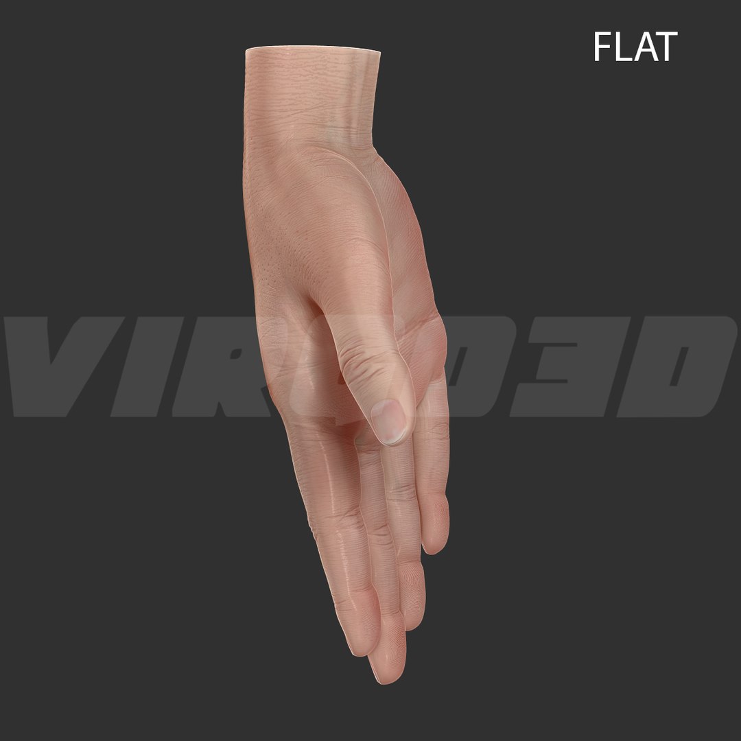 basic hand rigged 3d max https://p.turbosquid.com/ts-thumb/B6/qLygc7/pmRNw1BC/flat_003/jpg/1411487435/1920x1080/fit_q87/a801823fb46f1f2c23dfb9f9da30914cdf0ceb73/flat_003.jpg