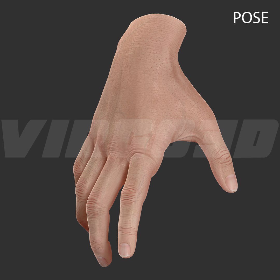 basic hand rigged 3d max https://p.turbosquid.com/ts-thumb/B6/qLygc7/savY7VPz/pose_001/jpg/1411487407/1920x1080/fit_q87/2af66d04e3879f9345e4a16a2476cf213f6694e8/pose_001.jpg
