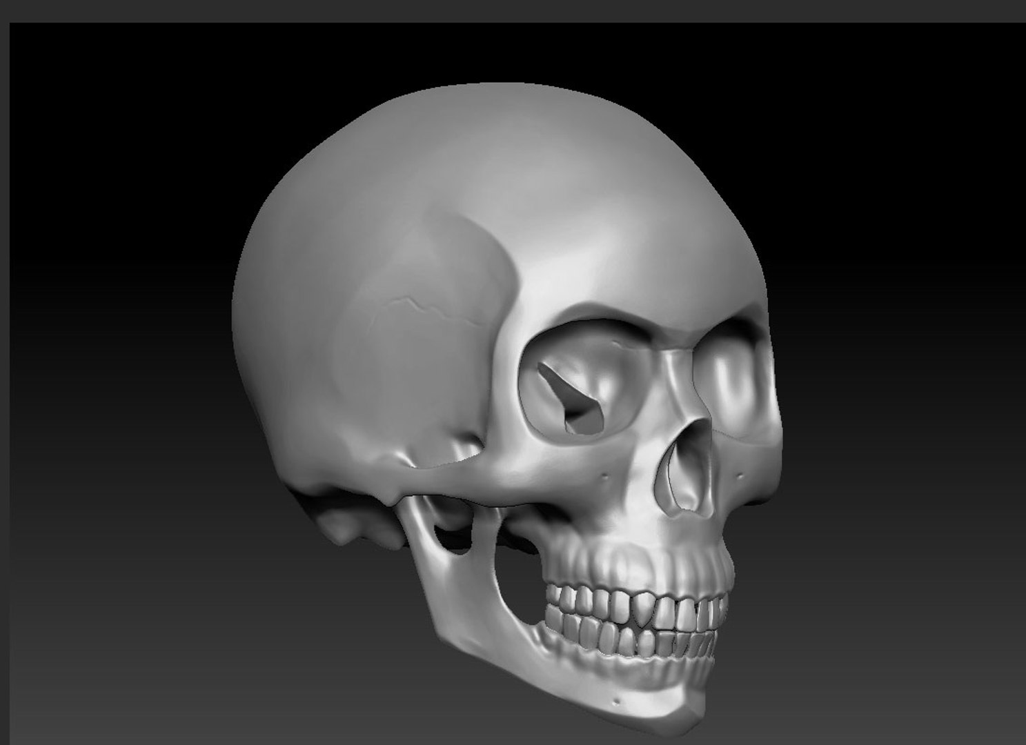 skull3d decimation 3D model https://p.turbosquid.com/ts-thumb/B6/w7csrX/AbkL6rqw/untitled4/jpg/1497972130/1920x1080/fit_q87/537e4ad3ff95cf681eaa5dcafdbea2eeccc9e825/untitled4.jpg