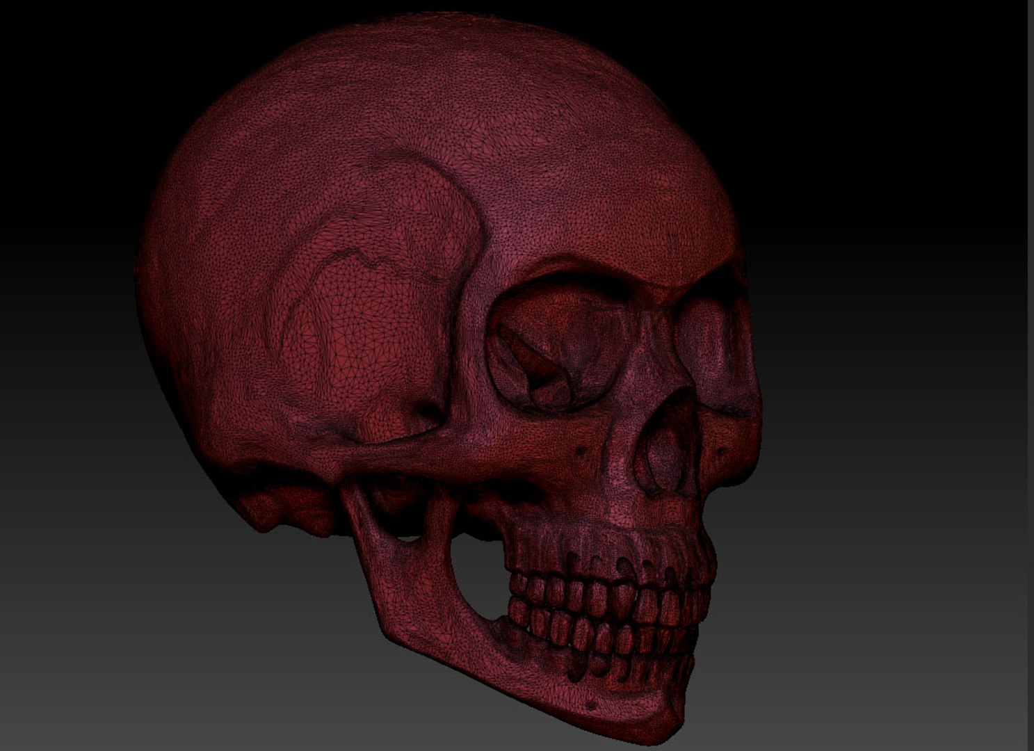 skull3d decimation 3D model https://p.turbosquid.com/ts-thumb/B6/w7csrX/VUxT6Ivn/untitled3/jpg/1497972130/1920x1080/fit_q87/e9c5344443dfc21eeb4f2b9ba0c6535e4cd43a6f/untitled3.jpg