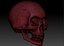 skull3d