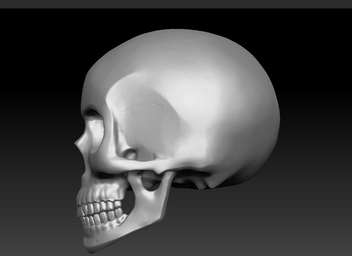 skull3d decimation 3D model https://p.turbosquid.com/ts-thumb/B6/w7csrX/qWkFyYpZ/untitled5/jpg/1497972130/1920x1080/fit_q87/574f317496adb79a994e7d9ab24e96316e79b4bd/untitled5.jpg