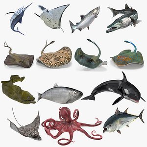 Fishes Collection 3 Rigged for Cinema 4D