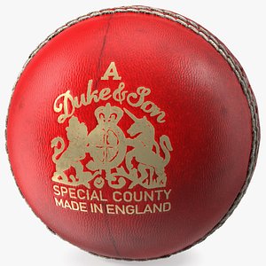Cricket Ball Duke And Son Fur model