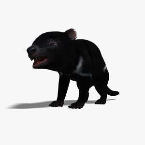 tasmanian devil animal fur 3d model