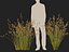 HighpolyLowpoly Baloskion pallens - Didgery Sticks