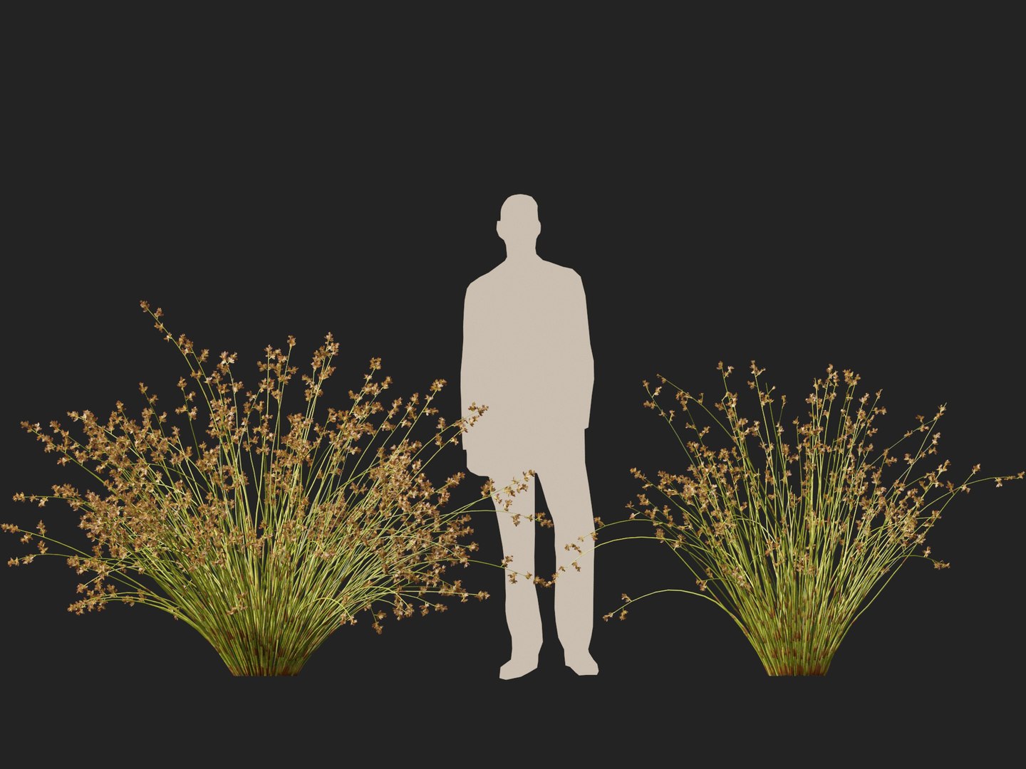 HighpolyLowpoly Baloskion pallens - Didgery Sticks 3D model https://p.turbosquid.com/ts-thumb/B7/GVU8oE/J7/baloskionpallensdidgerysticks014/jpg/1750250323/1920x1080/fit_q87/4125c1e51968b01dc78534efcb773dfade68c186/baloskionpallensdidgerysticks014.jpg