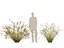 HighpolyLowpoly Baloskion pallens - Didgery Sticks