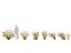 HighpolyLowpoly Baloskion pallens - Didgery Sticks