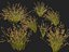 HighpolyLowpoly Baloskion pallens - Didgery Sticks