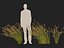 HighpolyLowpoly Baloskion pallens - Didgery Sticks