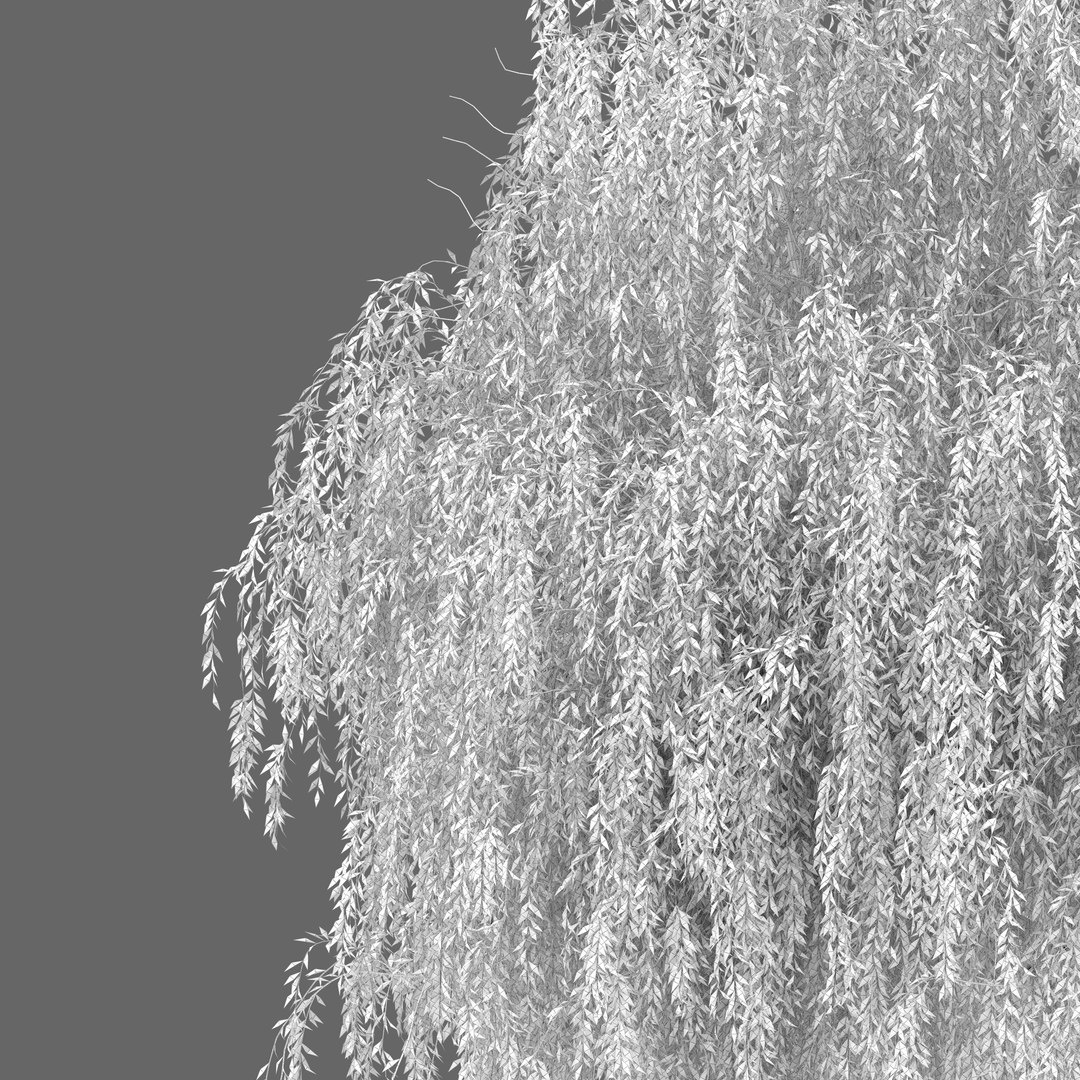 3D Autumn Weeping Willow 2 https://p.turbosquid.com/ts-thumb/B7/Ruy6m2/WN/preview7nbhjy/jpg/1760777502/1920x1080/fit_q87/aebedafa496d6c09770cad4f77fcfb5f0445dbec/preview7nbhjy.jpg