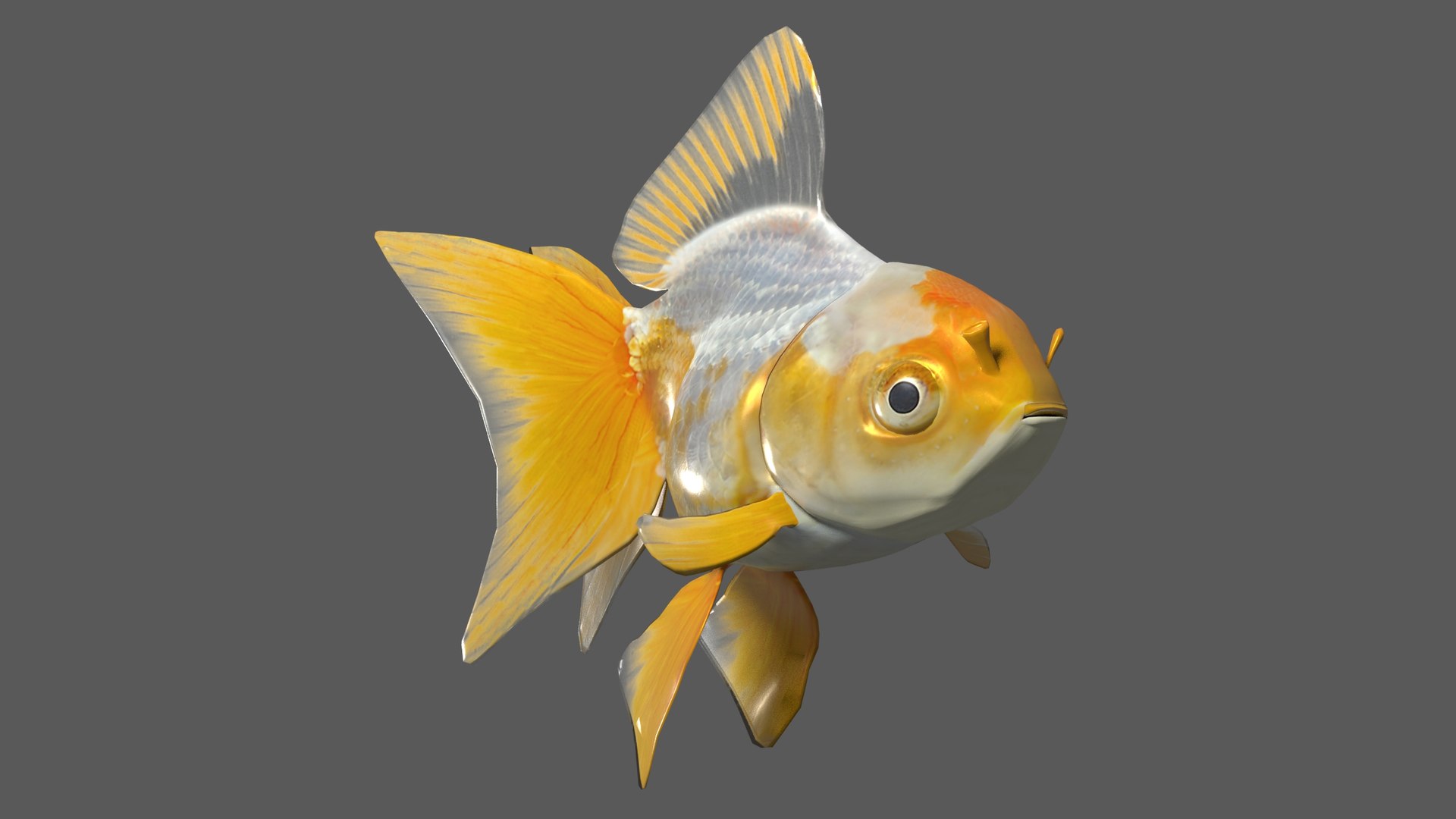 3D Goldfish Collection Animated - TurboSquid 2138387