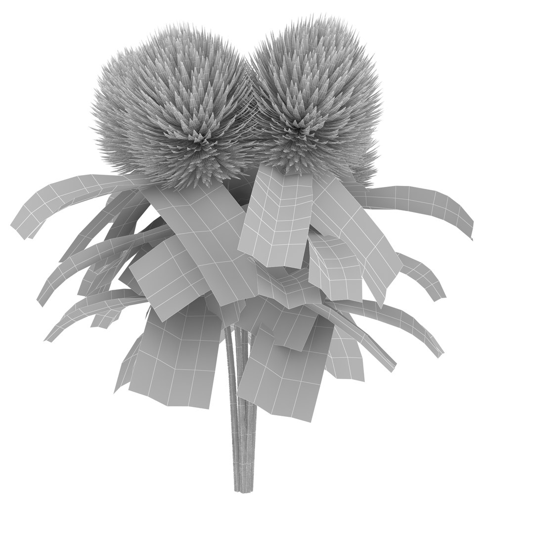 clover flower 3d model