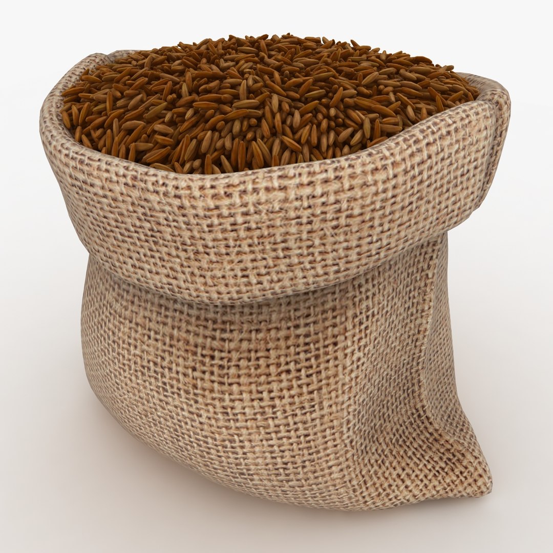 3D model realistic sack brown rice - TurboSquid 1202737