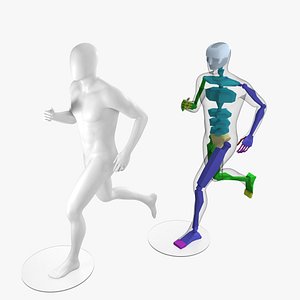 3D model Rigget Male Mannequin