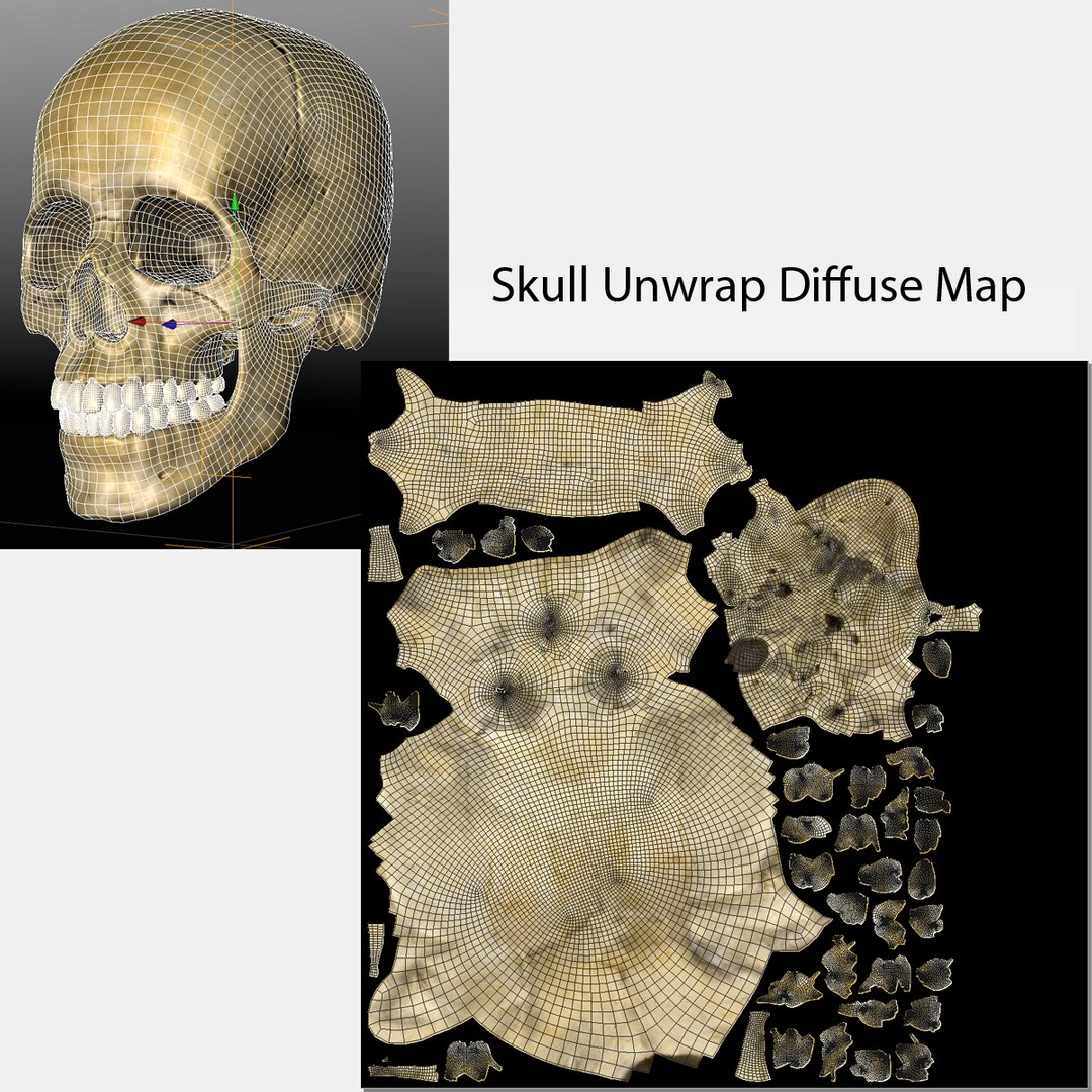 3d human skull https://p.turbosquid.com/ts-thumb/B7/r6HmfT/U5jzXDVt/27skull/jpg/1371994863/1920x1080/fit_q87/e416f0ca33dc564b8899c4dd9906df362b9795e3/27skull.jpg
