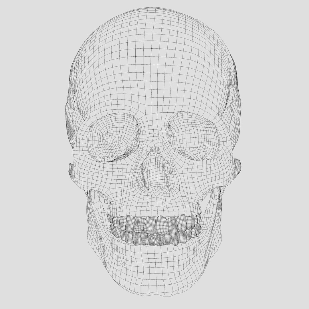 3d human skull https://p.turbosquid.com/ts-thumb/B7/r6HmfT/Xs6EzAyK/8/jpg/1371994863/1920x1080/fit_q87/eddb5ce6d36e0cd3921ad3dd1d0bd27cabc9259d/8.jpg