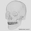 Human Skull