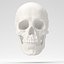 Human Skull