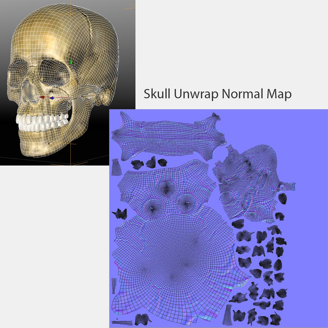 3d human skull https://p.turbosquid.com/ts-thumb/B7/r6HmfT/qjEQ17iE/25skull/jpg/1371994863/1920x1080/fit_q87/84895793e9a74cb7713db2038e6985533be86764/25skull.jpg