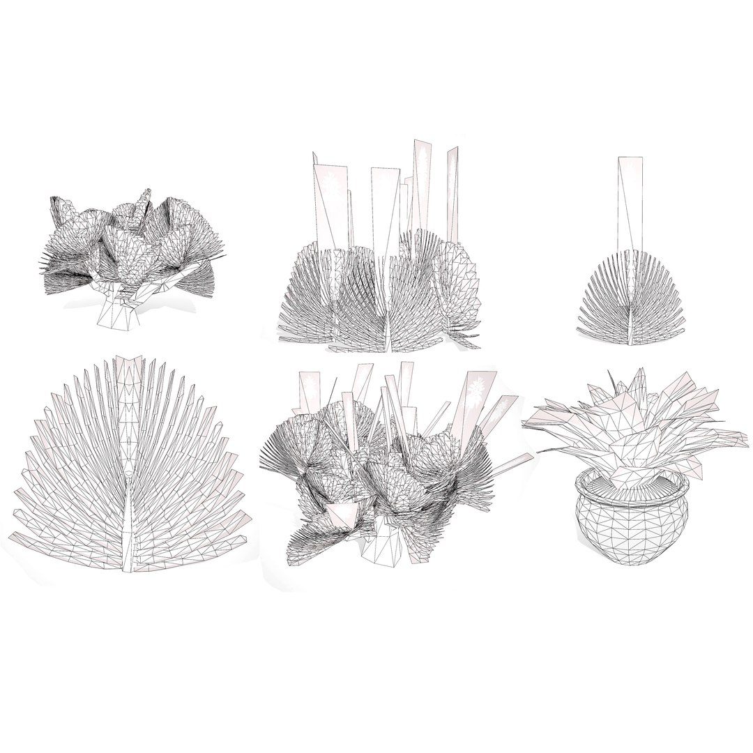 3D Fan  Coral Aloe Pack model https://p.turbosquid.com/ts-thumb/B7/rpsLov/9V/wire/jpg/1727210468/1920x1080/fit_q87/bef1562fe5ada20eb128e38795bdf08183cb7467/wire.jpg