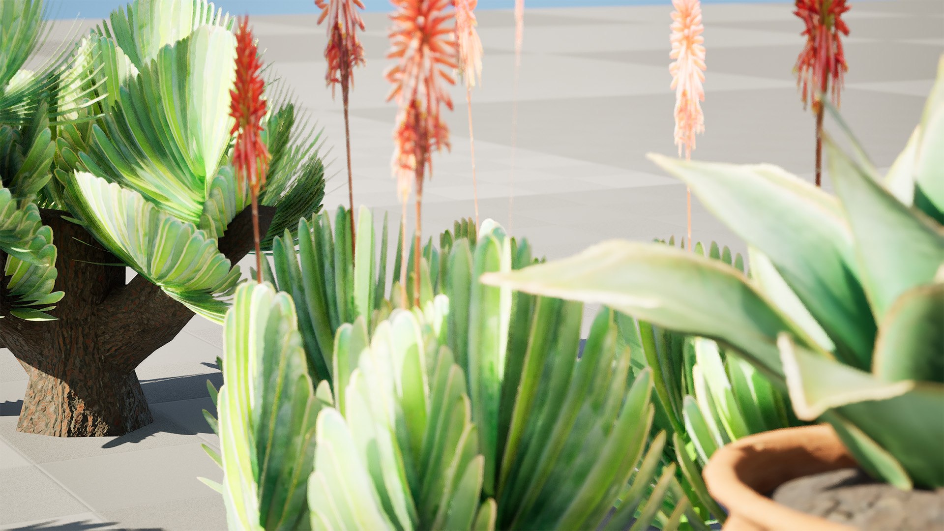 3D Fan  Coral Aloe Pack model https://p.turbosquid.com/ts-thumb/B7/rpsLov/NC/highresscreenshot00005/jpg/1727210459/1920x1080/fit_q87/ab9e7c22c30286beaa11ca3f0ccdee39644ec803/highresscreenshot00005.jpg