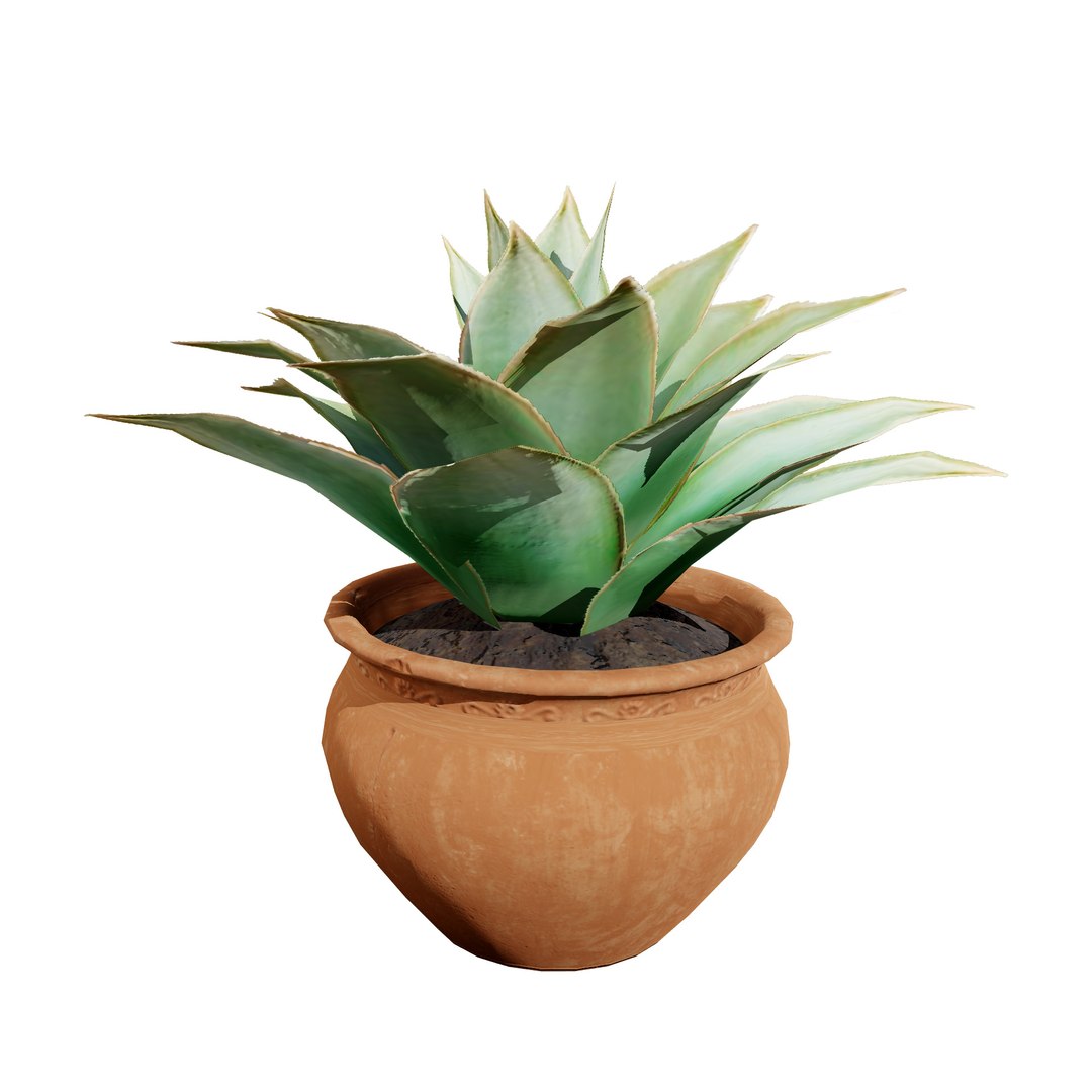 3D Fan  Coral Aloe Pack model https://p.turbosquid.com/ts-thumb/B7/rpsLov/Nk/t23/jpg/1727210462/1920x1080/fit_q87/99620354c9023958a2455f98343cfa0f213e6530/t23.jpg