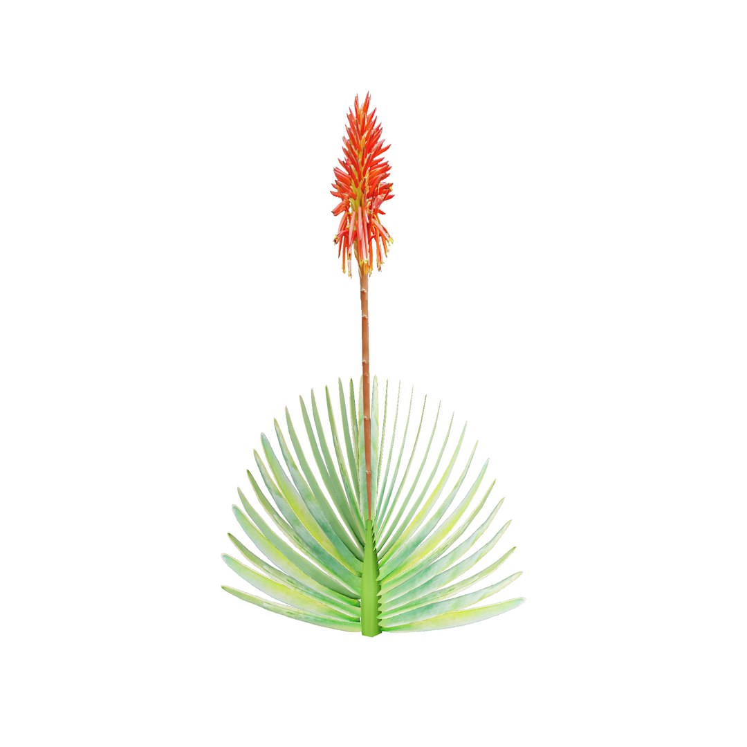 3D Fan  Coral Aloe Pack model https://p.turbosquid.com/ts-thumb/B7/rpsLov/ga/t3/jpg/1727210459/1920x1080/fit_q87/5aaf5d8f1fee0b94b77843226352c6c1fe90052a/t3.jpg