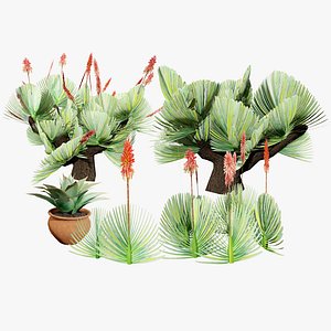 3D Fan  Coral Aloe Pack model