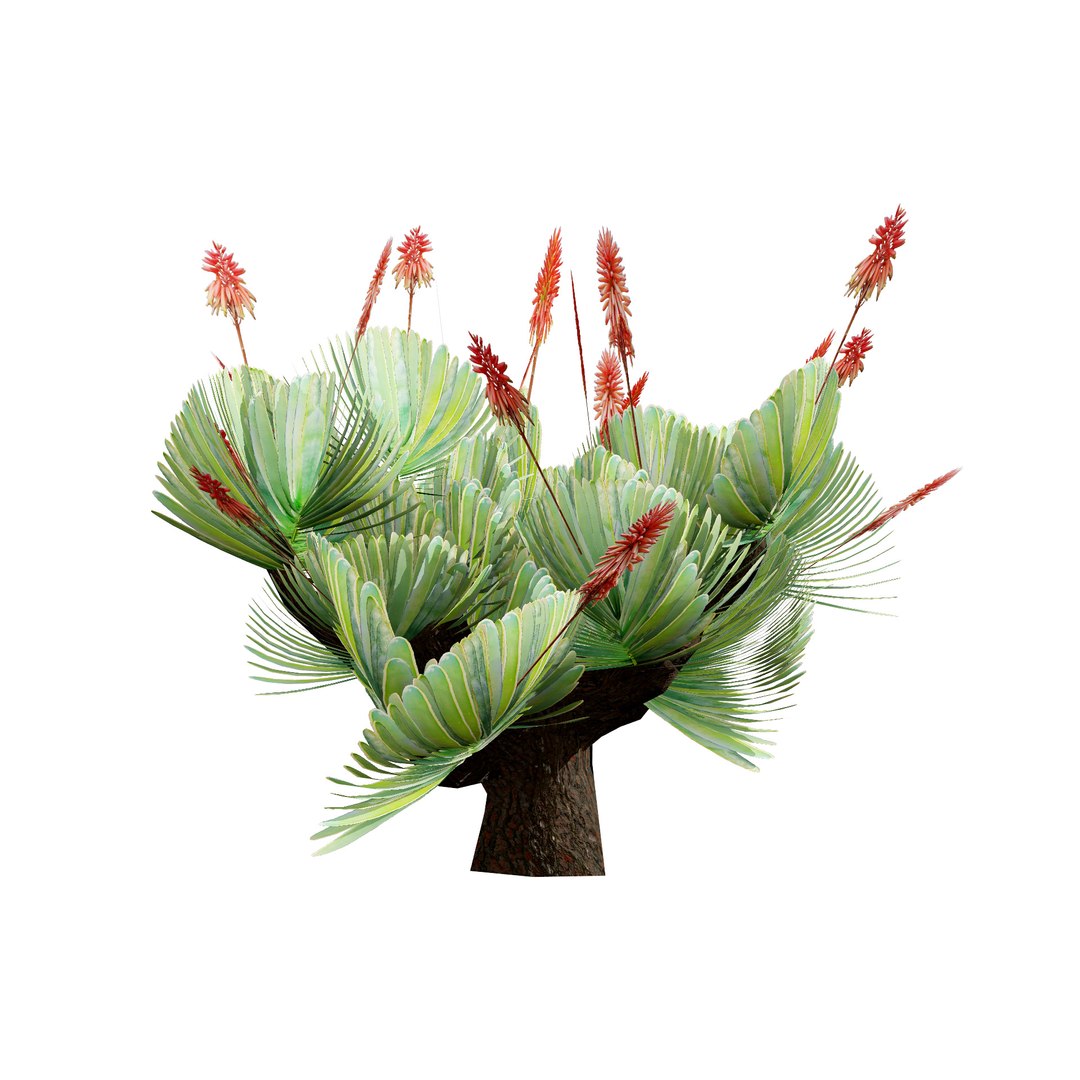3D Fan  Coral Aloe Pack model https://p.turbosquid.com/ts-thumb/B7/rpsLov/l0/t566/jpg/1727210467/1920x1080/fit_q87/c53a654d7ecc78ae2d68ffaeb41d1599655b5ab5/t566.jpg