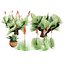 Pack Aloe Vera Corail