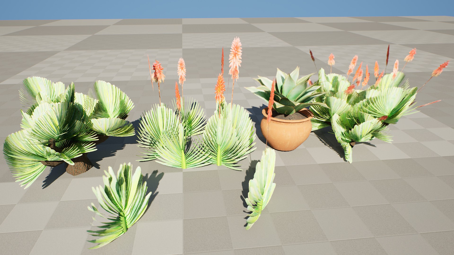 3D Fan  Coral Aloe Pack model https://p.turbosquid.com/ts-thumb/B7/rpsLov/nA/xhighresscreenshot00000/jpg/1727210468/1920x1080/fit_q87/fb1e2f9095fa0bb56da713a74c453d7c633cb6c9/xhighresscreenshot00000.jpg