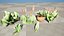 Pack Aloe Vera Corail