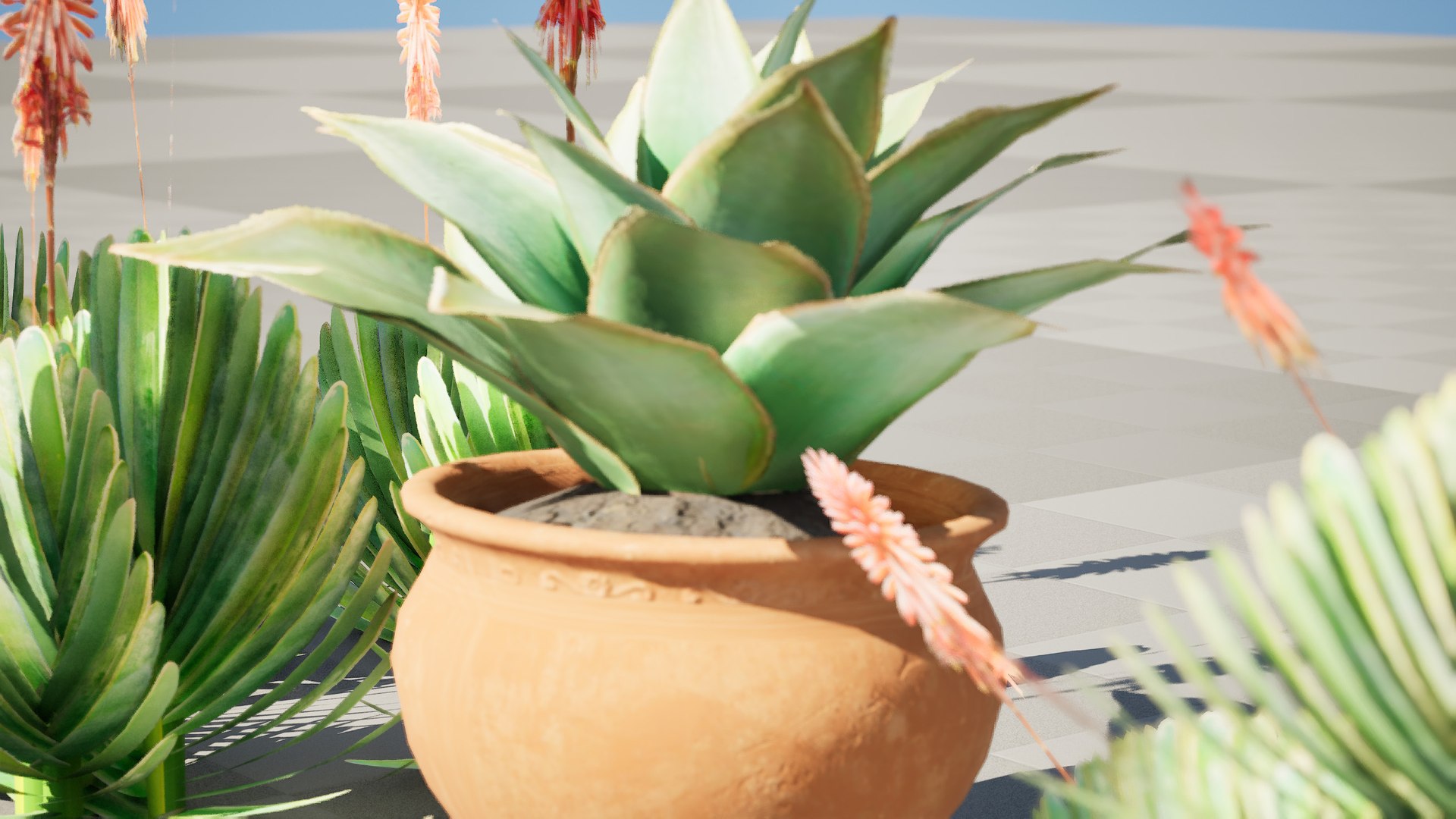 3D Fan  Coral Aloe Pack model https://p.turbosquid.com/ts-thumb/B7/rpsLov/v3/xhighresscreenshot00004/jpg/1727210471/1920x1080/fit_q87/ea762a4a5849bfff6ef00e3847d0d61c2253ef79/xhighresscreenshot00004.jpg