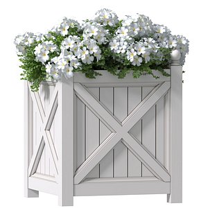White flowers in a garden planter Patio