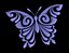 motyl