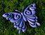 motyl