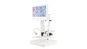 White Digital Microscope