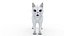 Cat white  black