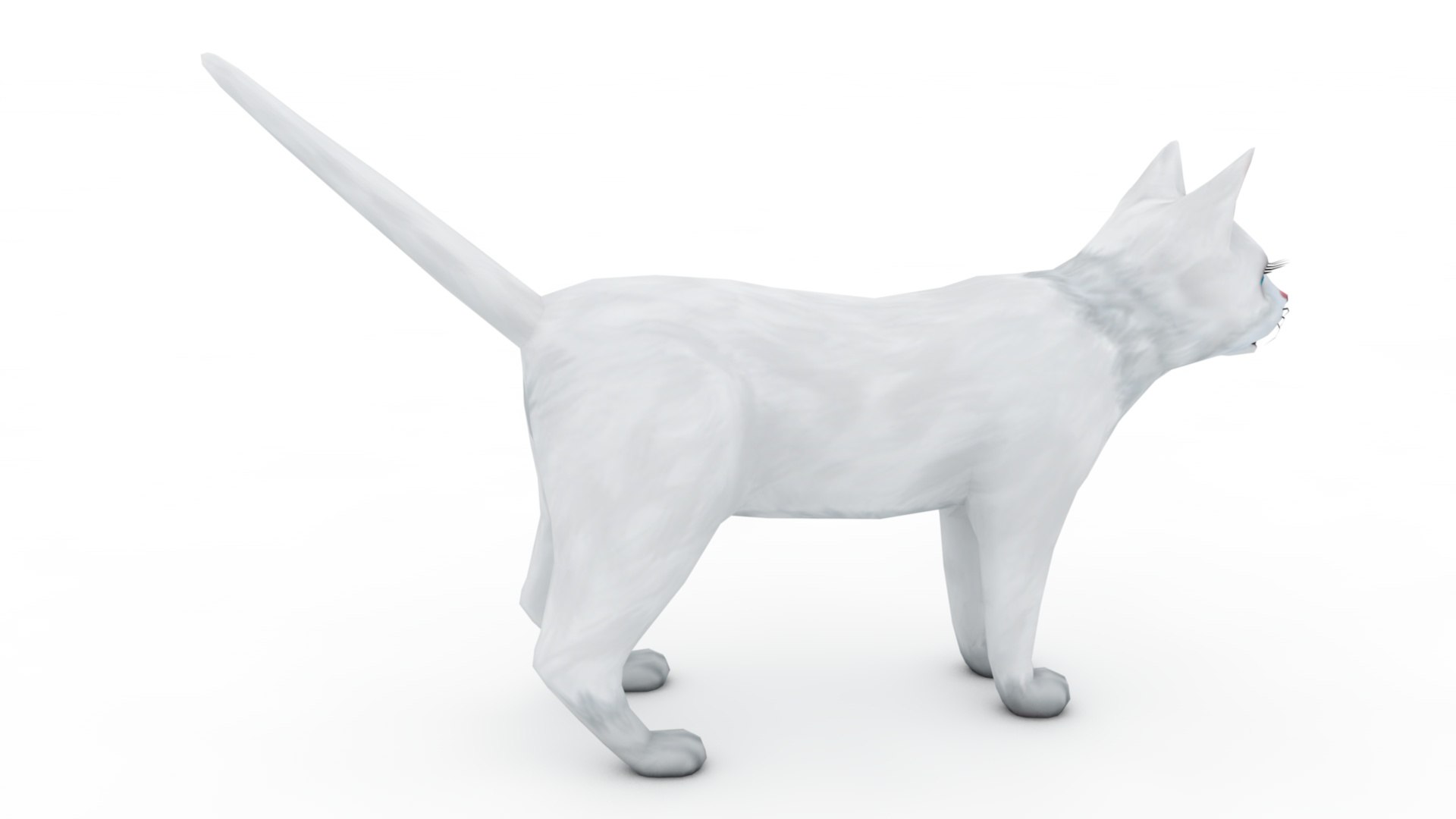 3D Cat white  black model https://p.turbosquid.com/ts-thumb/B8/WiX5DT/Ba/dfs0068/jpg/1643875023/1920x1080/fit_q87/85a0abcaf06c662f288520a44a4266c29f65c01e/dfs0068.jpg