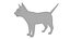 Cat white  black